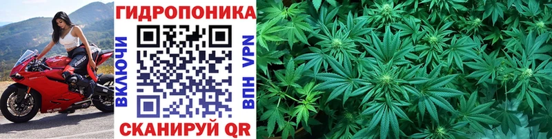 МЕТАДОН Гвардейск