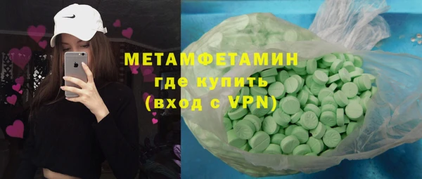 прущие грибы Верея
