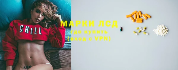 прущие грибы Верея
