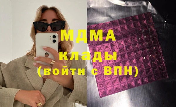 прущие грибы Верея