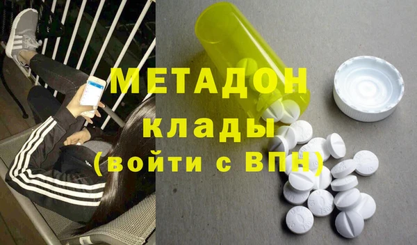 прущие грибы Верея