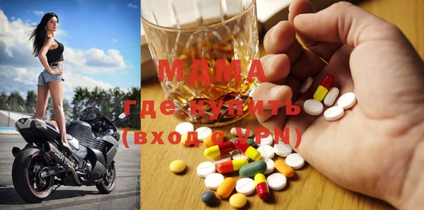 прущие грибы Верея