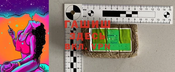 прущие грибы Верея