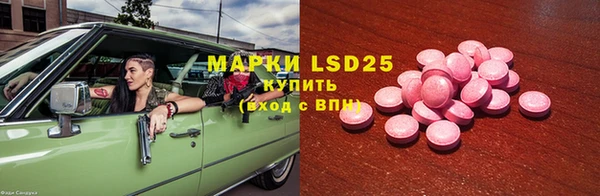 прущие грибы Верея
