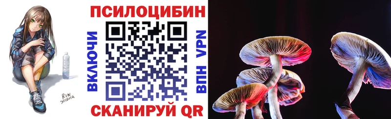 Купить где  Гвардейск  Псилоцибиновые грибы мицелий 