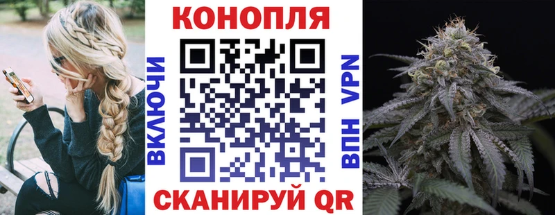 Купить  Гвардейск  Конопля VHQ 